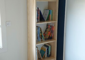 Petite bibliothèque en frêne olivier avec livres.